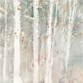 A Woodland Walk II