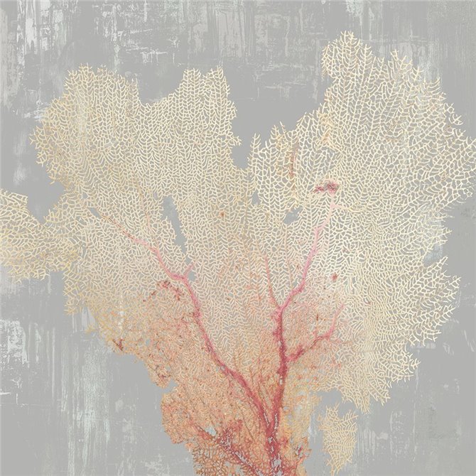 Blush Coral I 