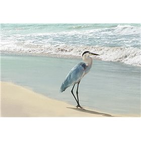 Beach Set Heron