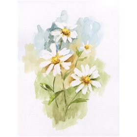 Wild Daisy I