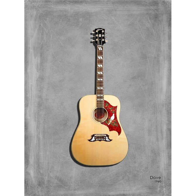 Gibson Dove 1960