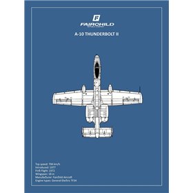 BP A-10 Thunderbolt 2  - Cuadrostock