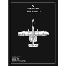 BP A-10 Thunderbolt 2 Black  - Cuadrostock