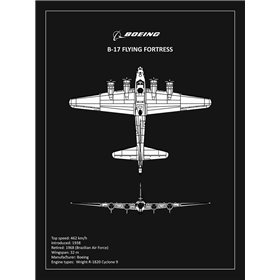 BP B17 FlyingFortress Black  - Cuadrostock