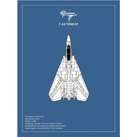 BP F-14-Tomcat  - Cuadrostock