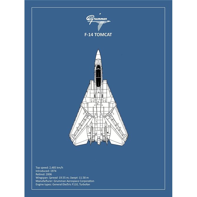 BP F-14-Tomcat 