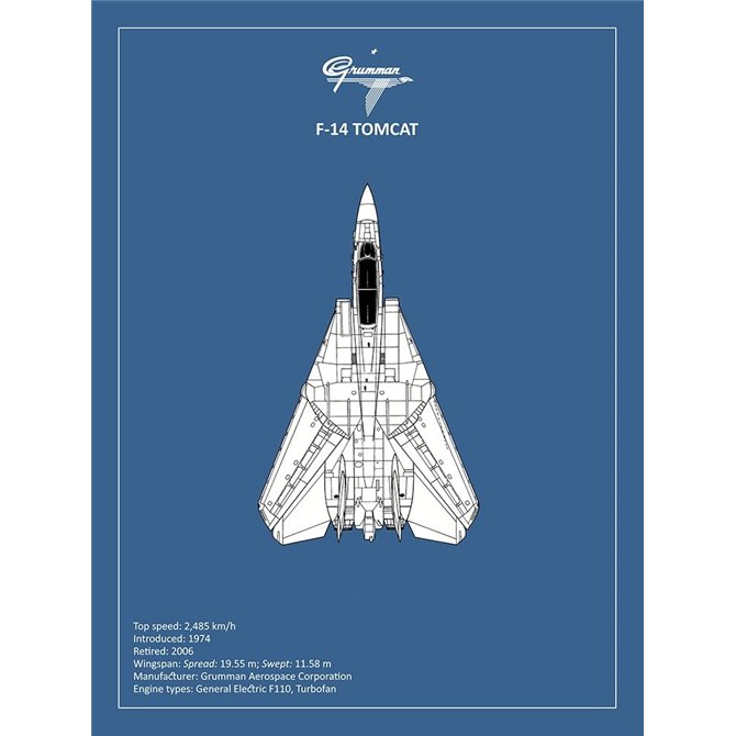 BP F-14-Tomcat  - Cuadrostock