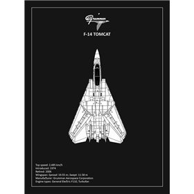 BP F-14-Tomcat Black  - Cuadrostock