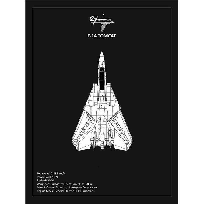 BP F-14-Tomcat Black  - Cuadrostock