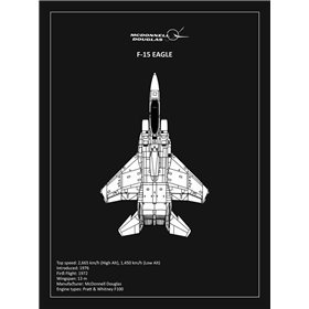 BP F15 Eagle Black 