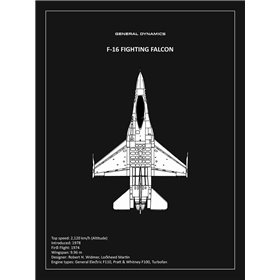 BP F-16 Fighting Falcon Black  - Cuadrostock