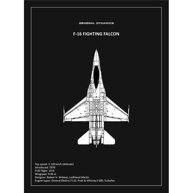 BP F-16 Fighting Falcon Black  - Cuadrostock