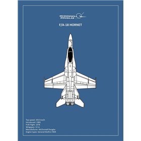 BP FA18 Hornet  - Cuadrostock