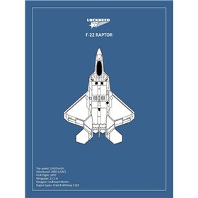 BP LOCKHEED F117 Nighthawk  - Cuadrostock