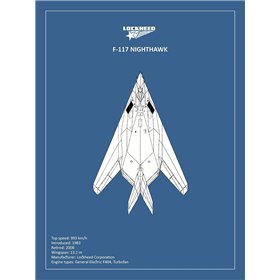 BP Lockheed F22 Raptor  - Cuadrostock