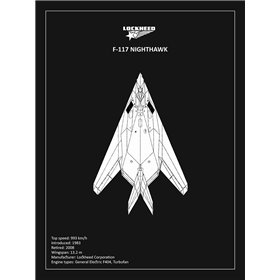 BP Lockheed F22 Raptor Black  - Cuadrostock