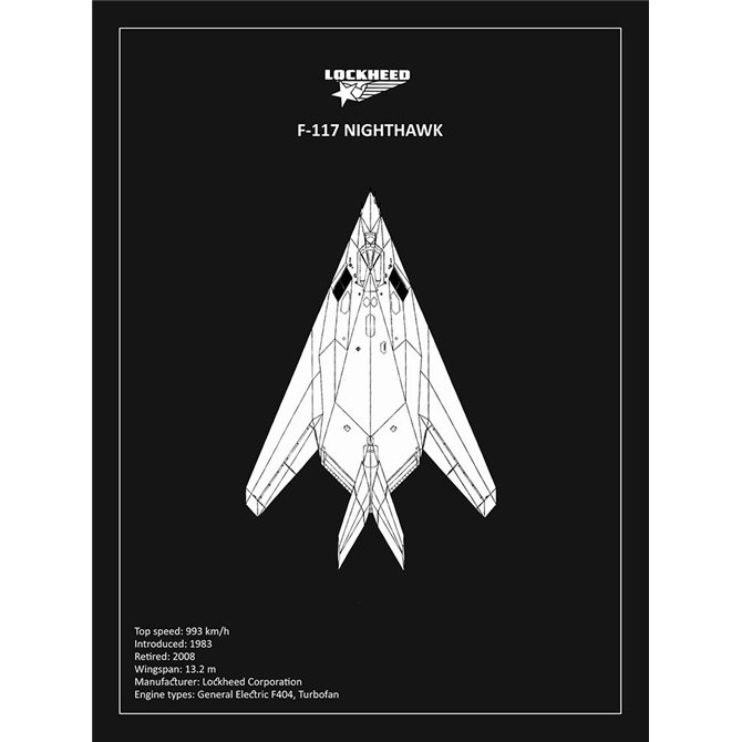 BP Lockheed F22 Raptor Black  - Cuadrostock
