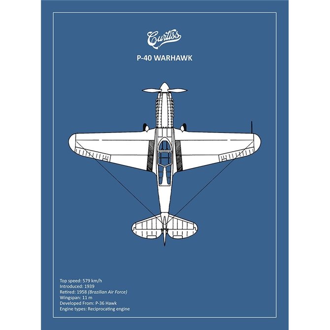 BP P-40 Warhawk 