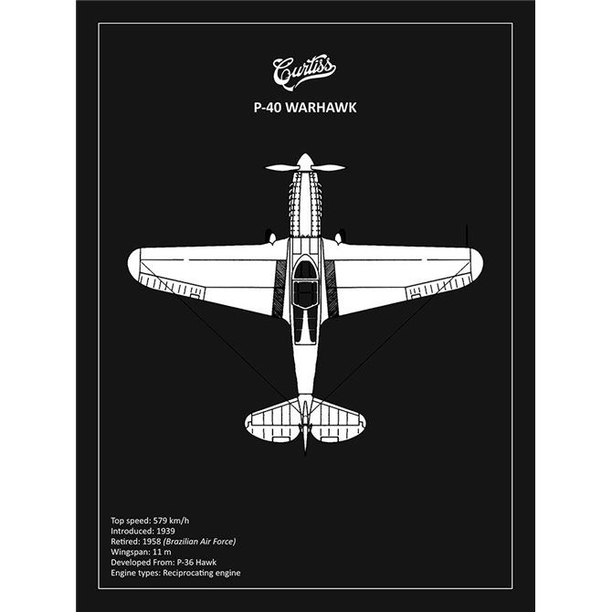 BP P-40 Warhawk Black  - Cuadrostock