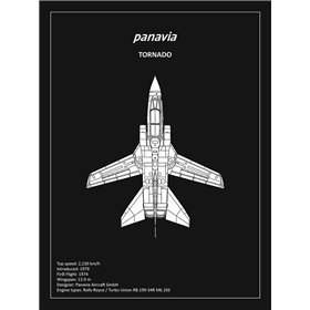 BP Panavia Tornado Black  - Cuadrostock