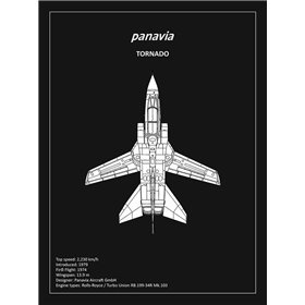 BP Panavia Tornado Black  - Cuadrostock