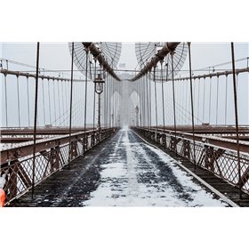 The Brooklyn Bridge