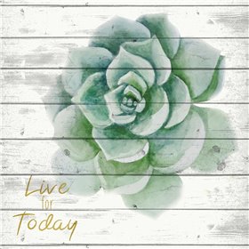 Live for Today 1