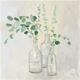 Summer Cuttings I