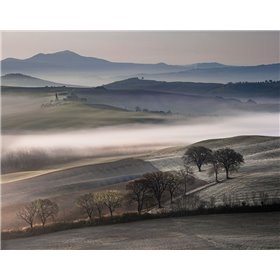 Frosty Dawn - Cuadrostock