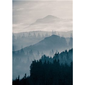 Blue Mountains I
