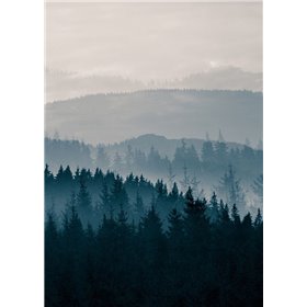 Blue Mountains II