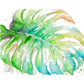 Zoomed Tropical Monstera