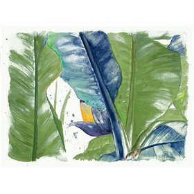 Fresh Banana Plantain Vibrant