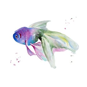 Aquarium Life III