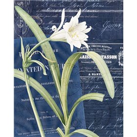 Postcard Vintage Floral 1