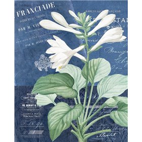 Postcard Vintage Floral 2