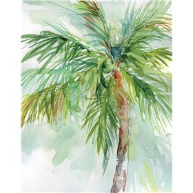 Palm Breezes II - Cuadrostock