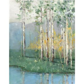 Birch