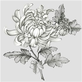 Grey Botanical II - Cuadrostock