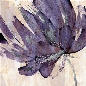 Purple Jewel - Cuadrostock