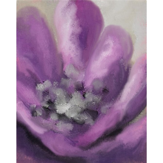Blooming Purple 2 - Cuadrostock