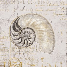 Golden Vintage Shell I