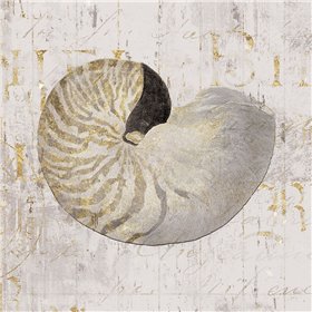 Golden Vintage Shell II