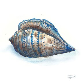 Bohemian Shells II - Cuadrostock