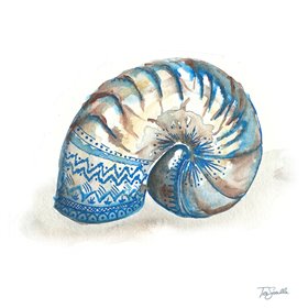 Bohemian Shells IV - Cuadrostock