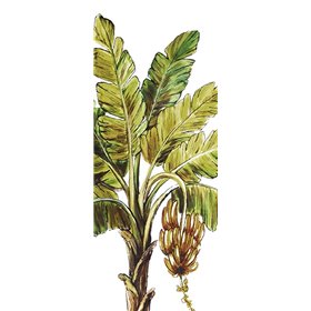 Tropical Palm Paradise II