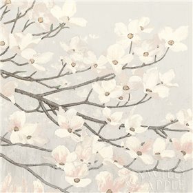 Cuadro para dormitorio - Dogwood Blossoms II Gray - Cuadrostock