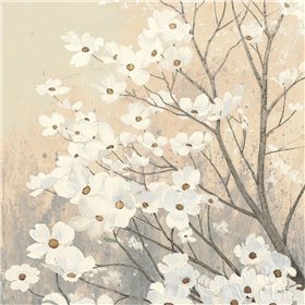 Cuadro para dormitorio - Dogwood Blossoms II Neutral - Cuadrostock