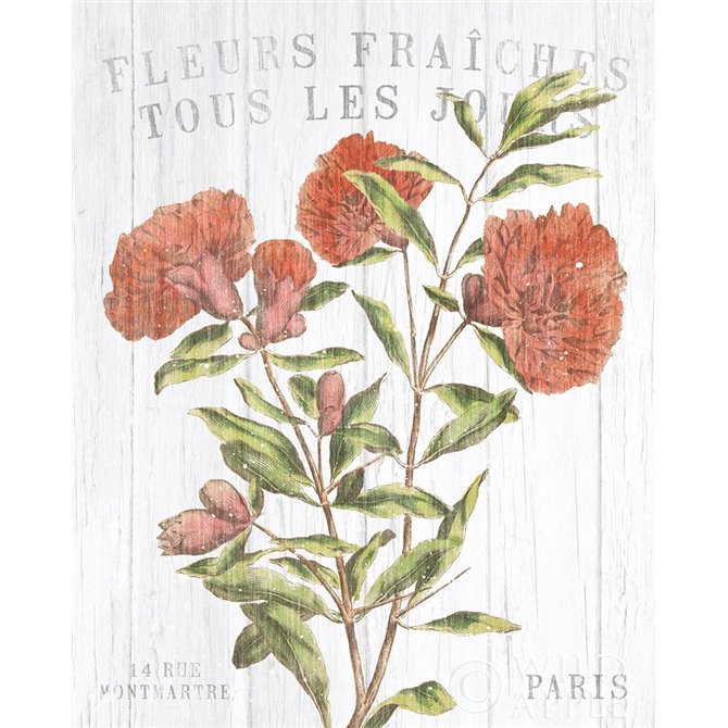 Fleuriste Paris III - Cuadrostock