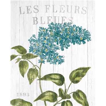 Fleuriste Paris V